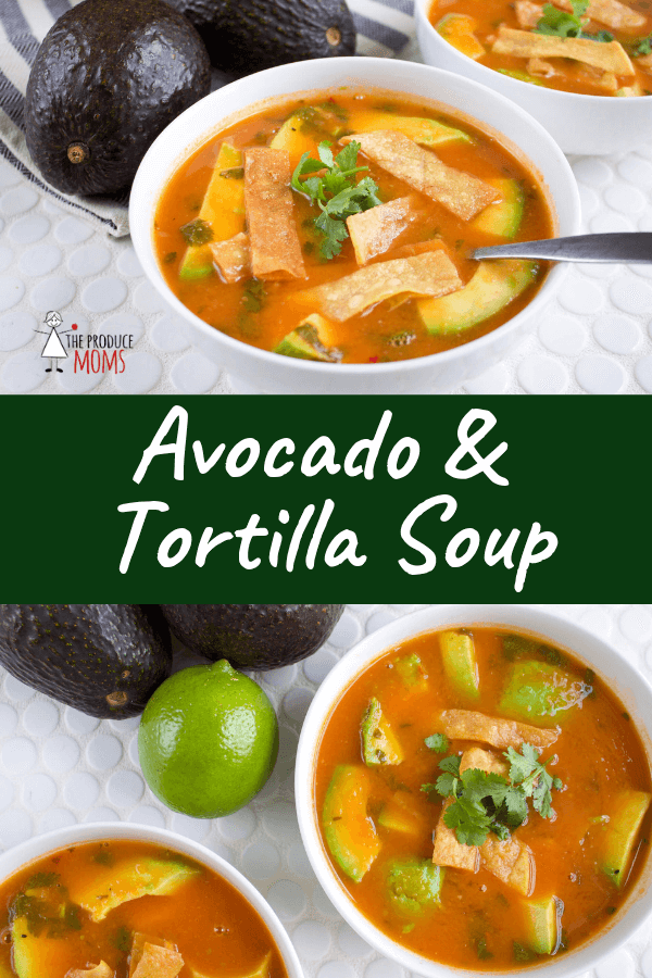 Avocado and Tortilla Soup