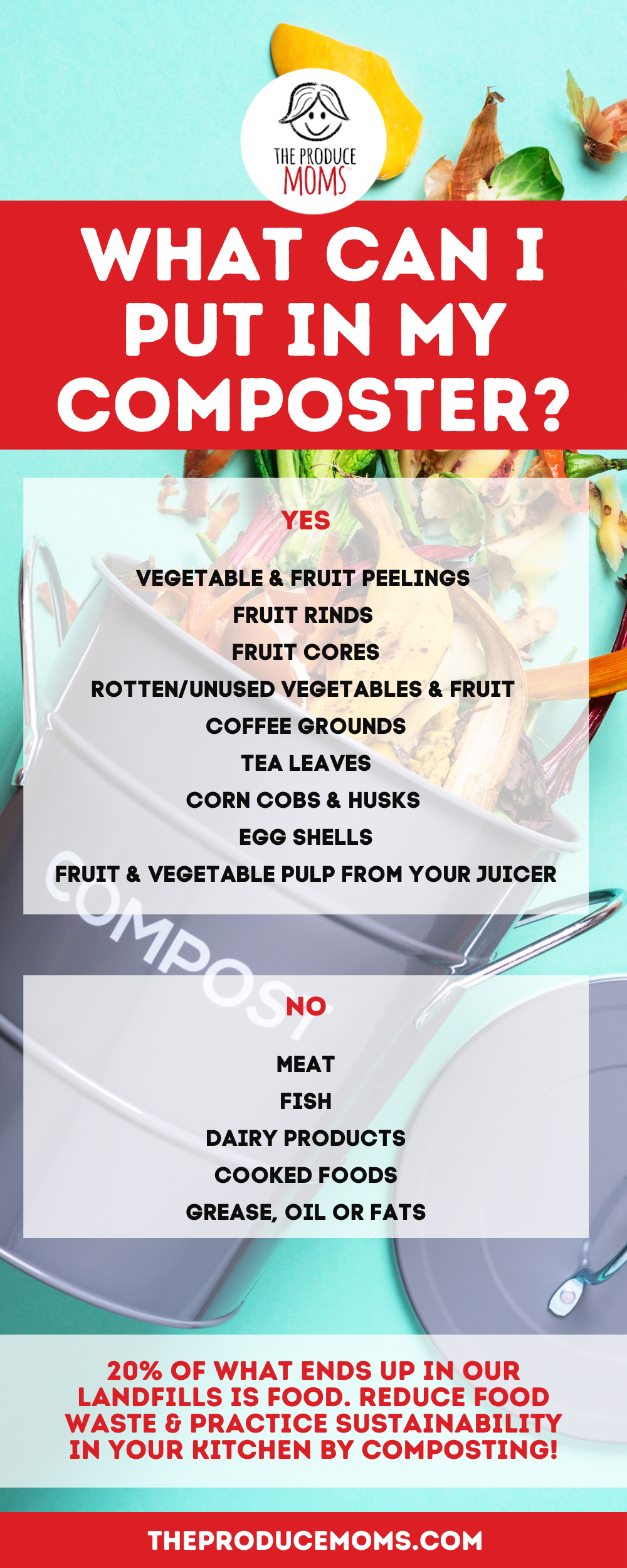 What to Compost at Home Infographic