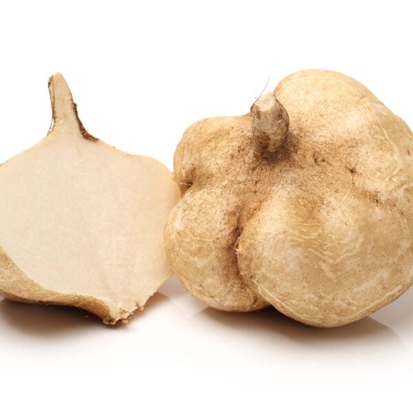 Jicama