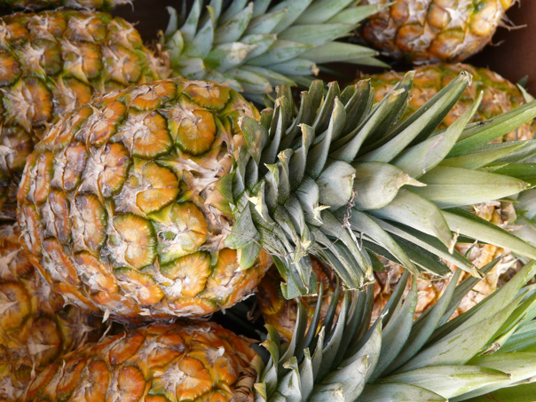 Pineapple