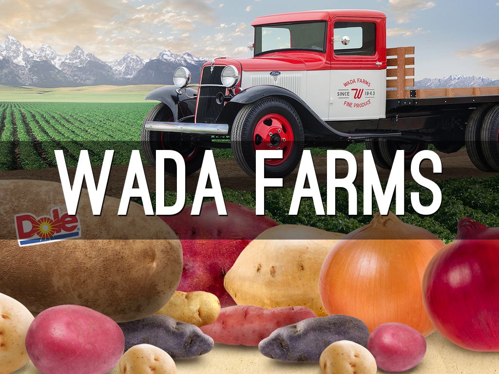 Sweet Potato Farming