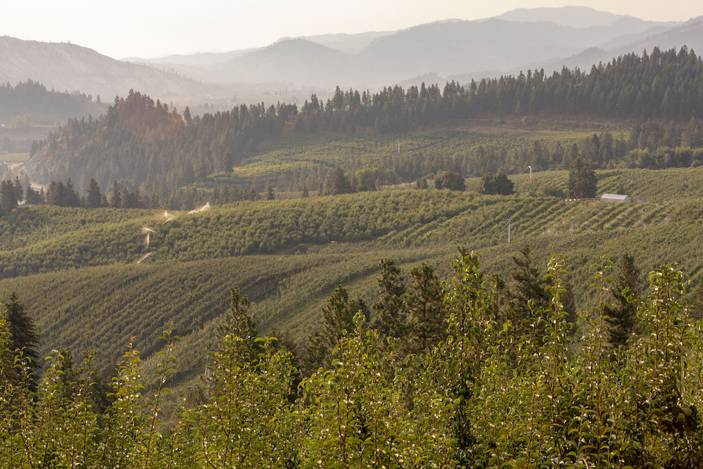 USA Pears growing region