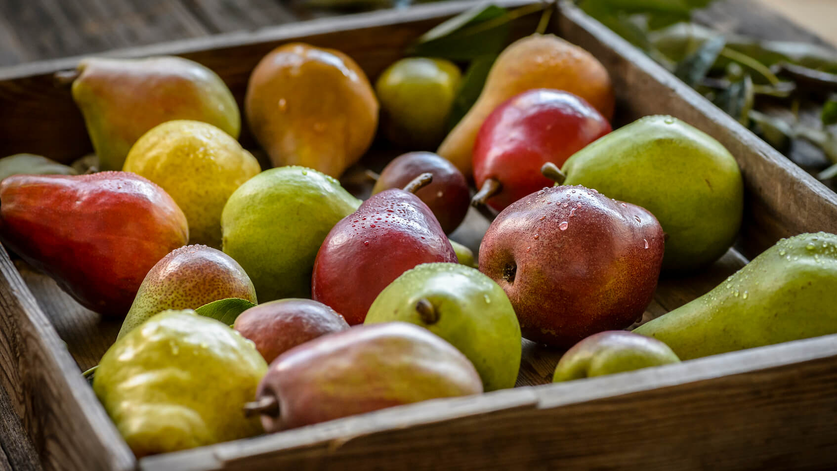 USA Pear varieties