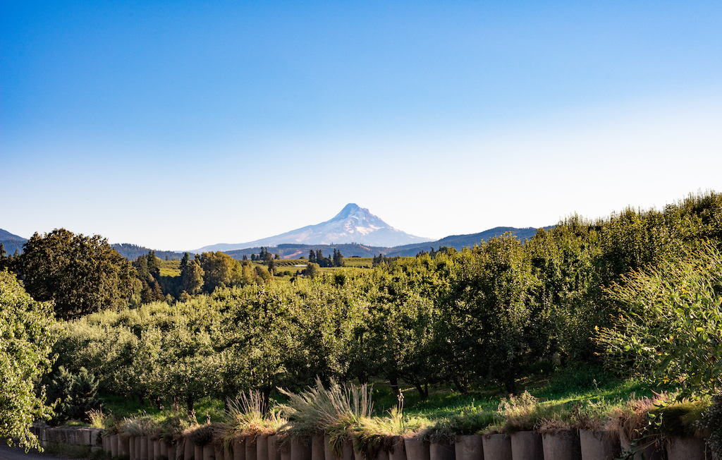 USA Pears growing region