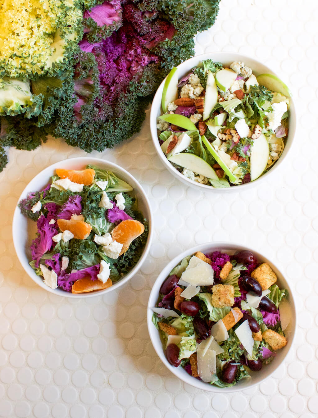 Colorful Salads Colorful Salads