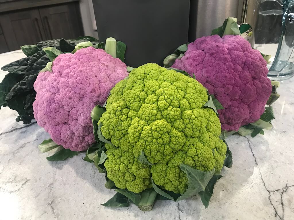 Carnival Multi-Color Cauliflower from Salad Savoy Carnival Multi-Color Cauliflower from Salad Savoy