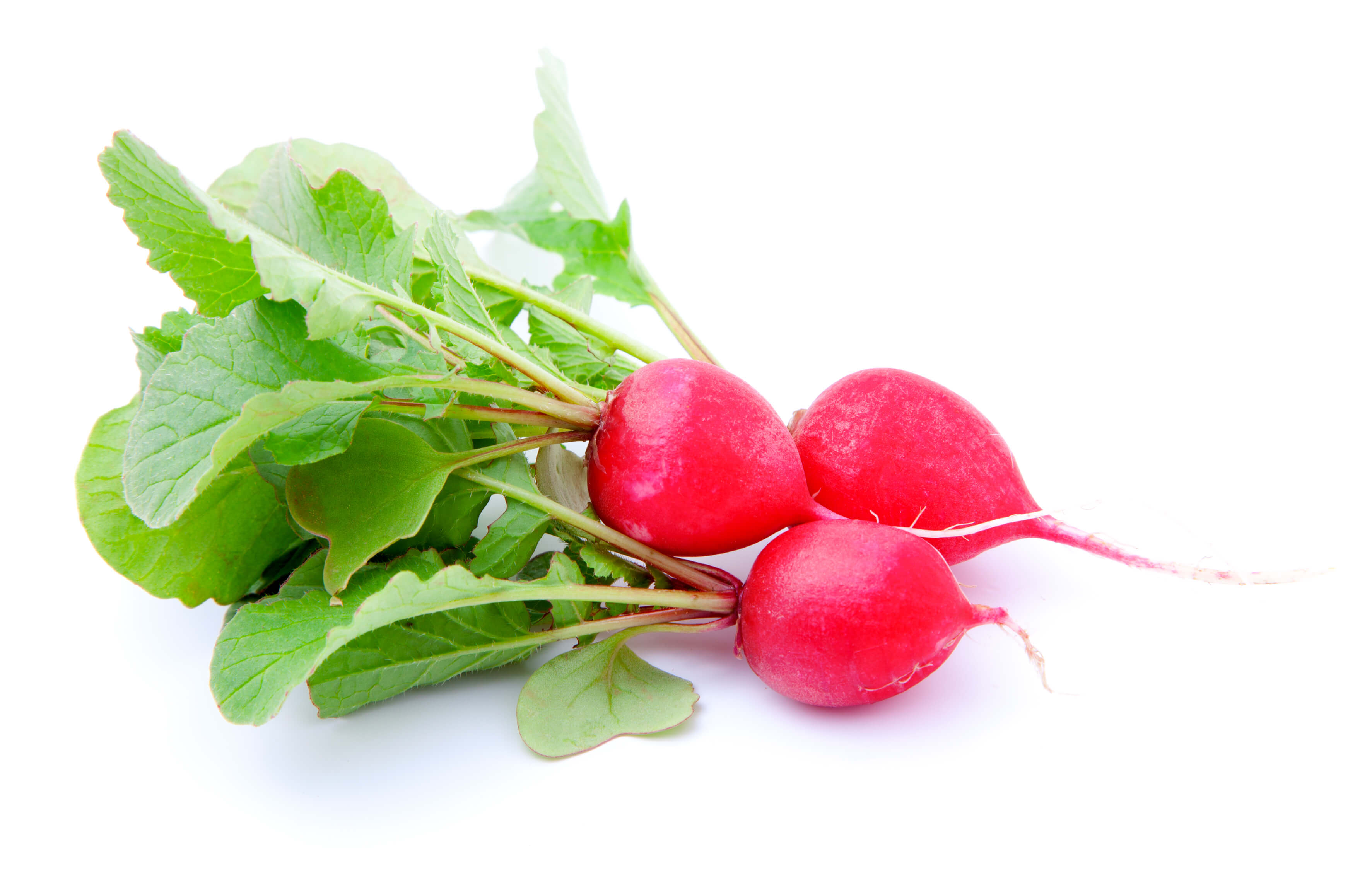 radish 10 Valentine-Red Produce Picks with Hot Scores on Kroger’s OptUP App