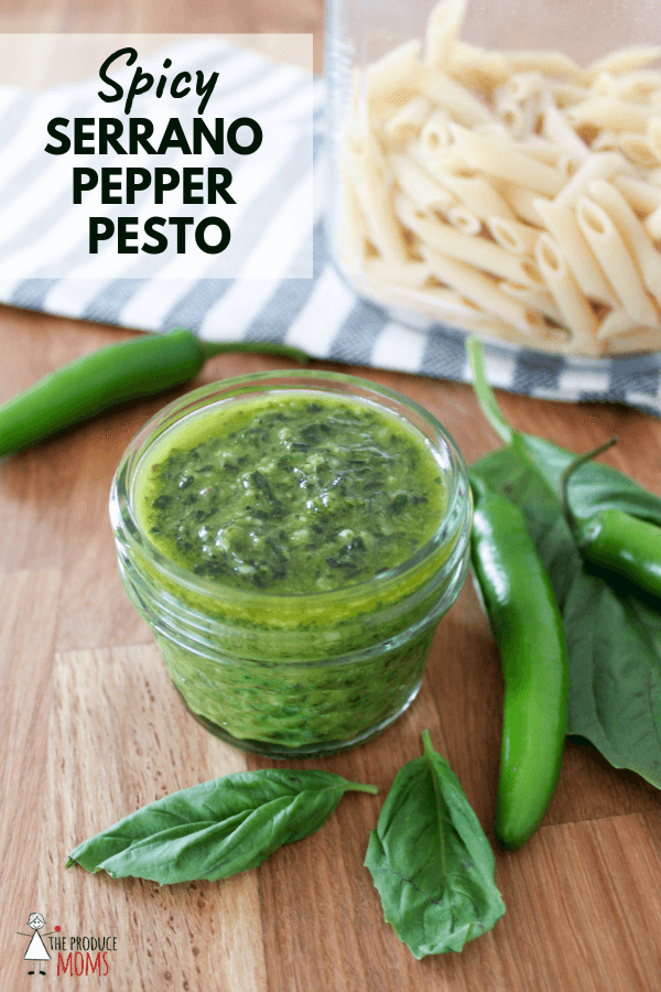Homemade Serrano Pepper Pesto Homemade Serrano Pepper Pesto