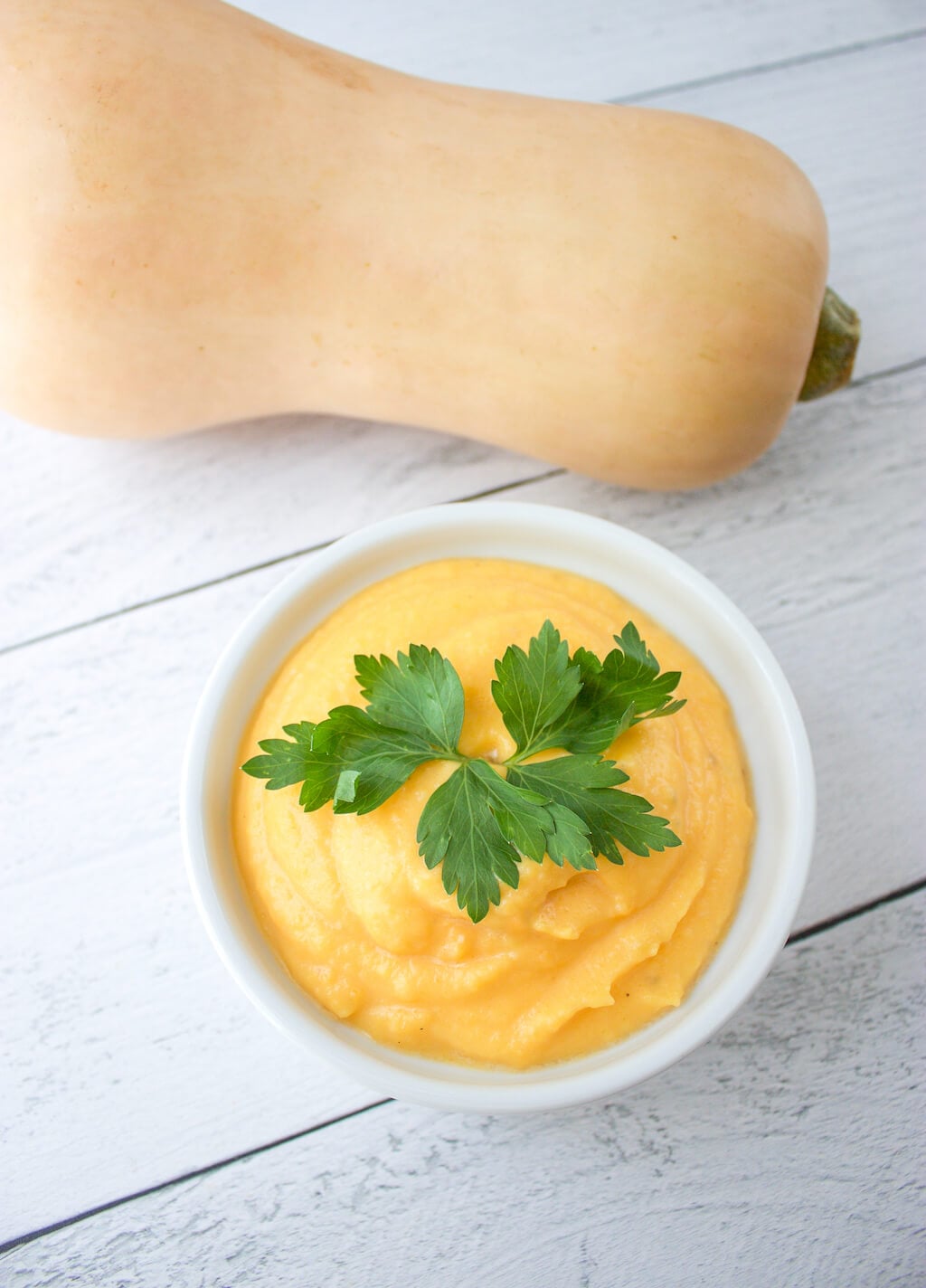 Butternut Squash Dip Brighter Bites Butternut Squash Dip