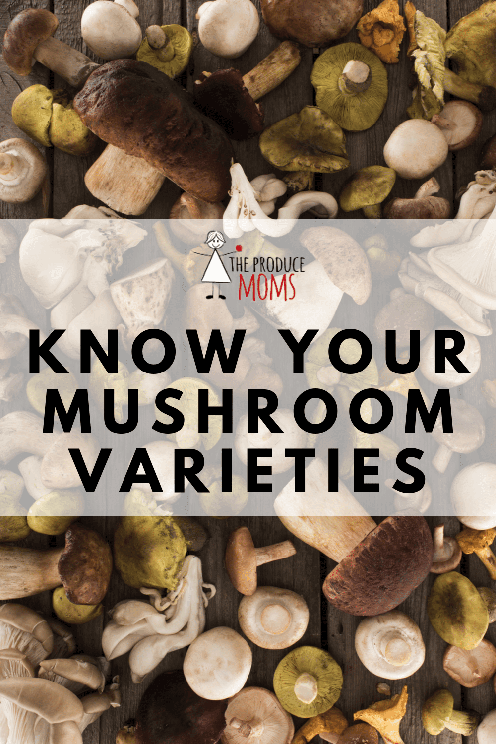 Know Your Mushroom Varieties Know Your Mushroom Varieties