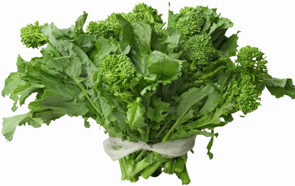 Broccoli Rabe Broccoli Rabe