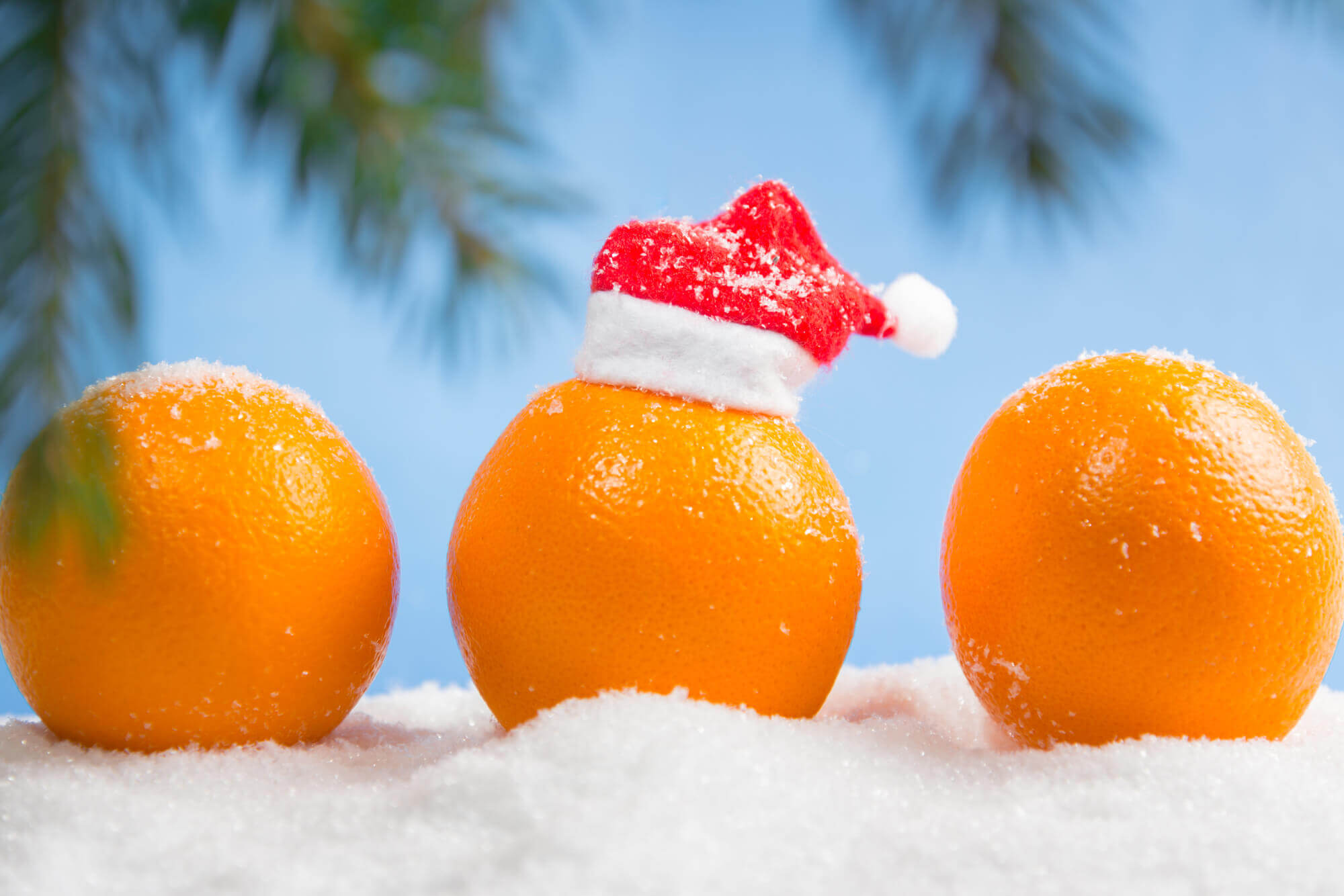 Winter Citrus Adding Citrus To Christmas Stockings