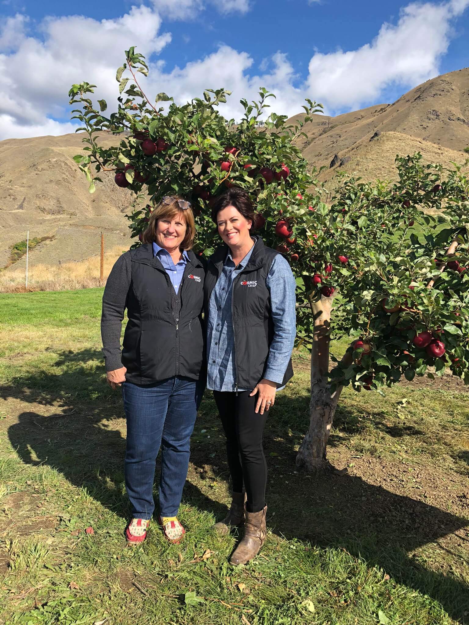 The Cosmic Crisp Story | A Rising Star Cosmic Crisp® Apple Orchard