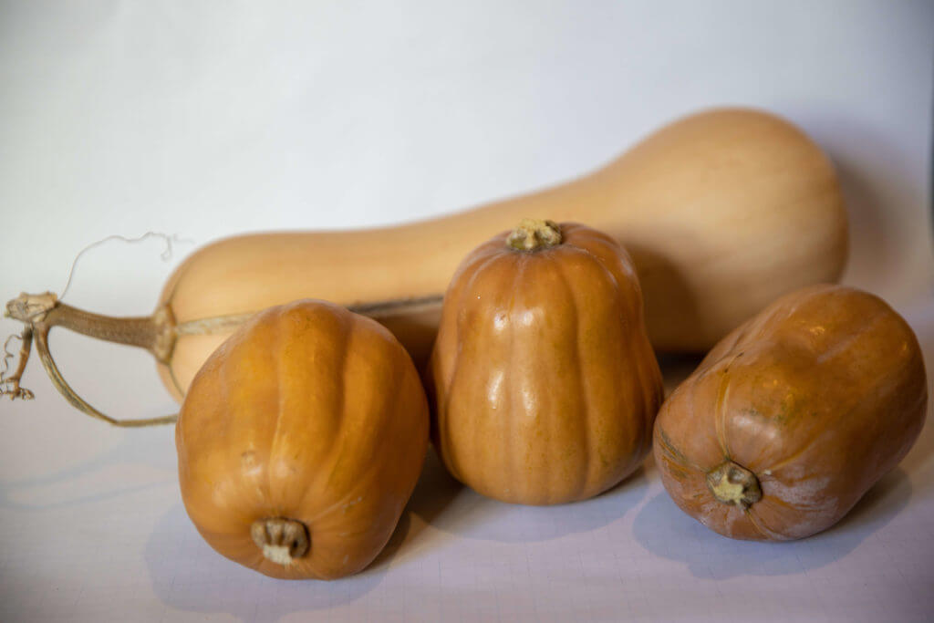 Honeynut Squash