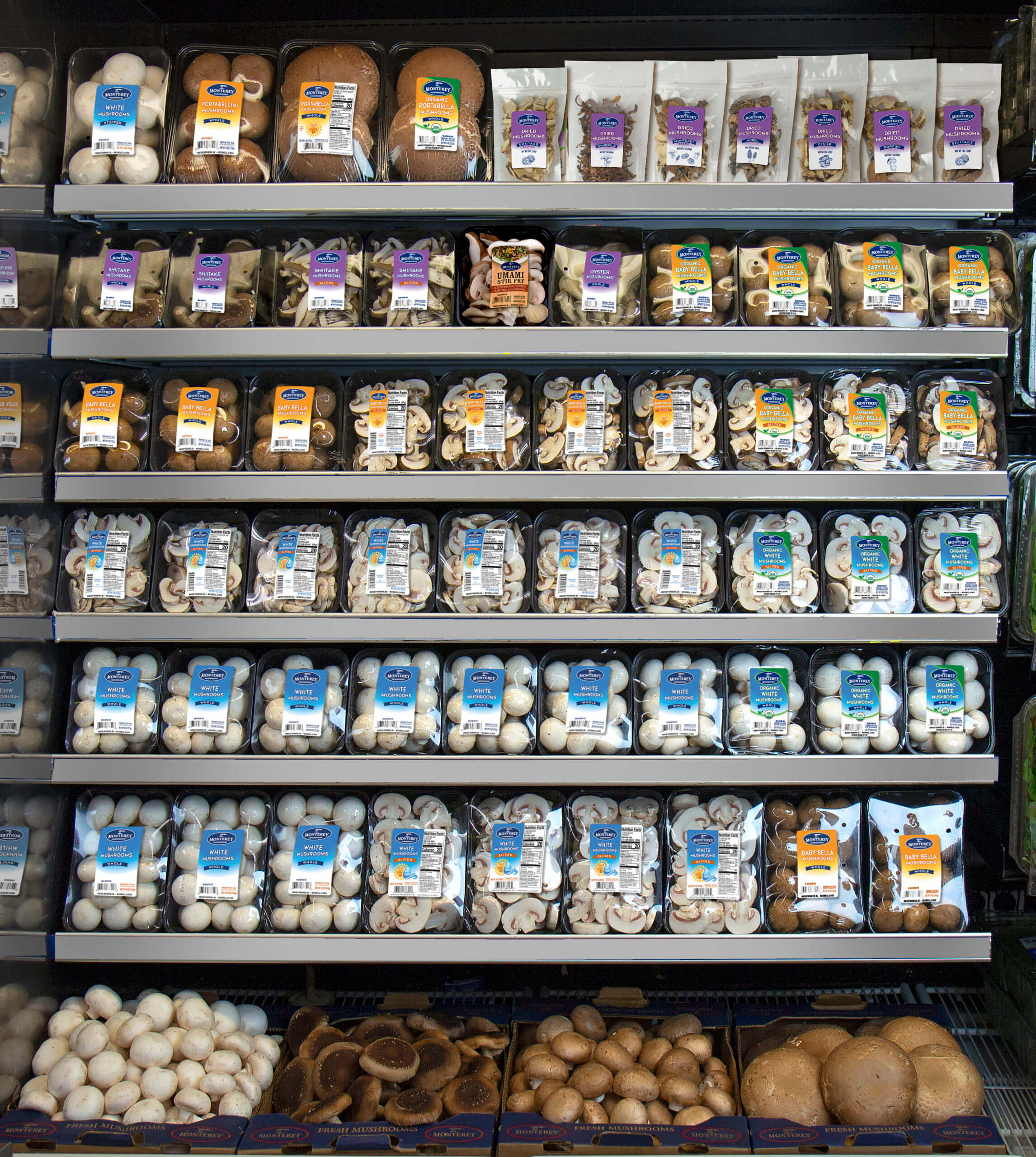 mushrooms Mushrooms