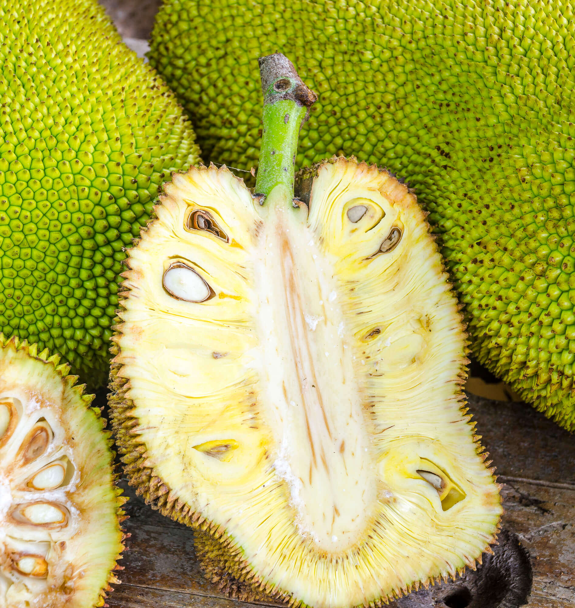 Jackfruit Jackfruit