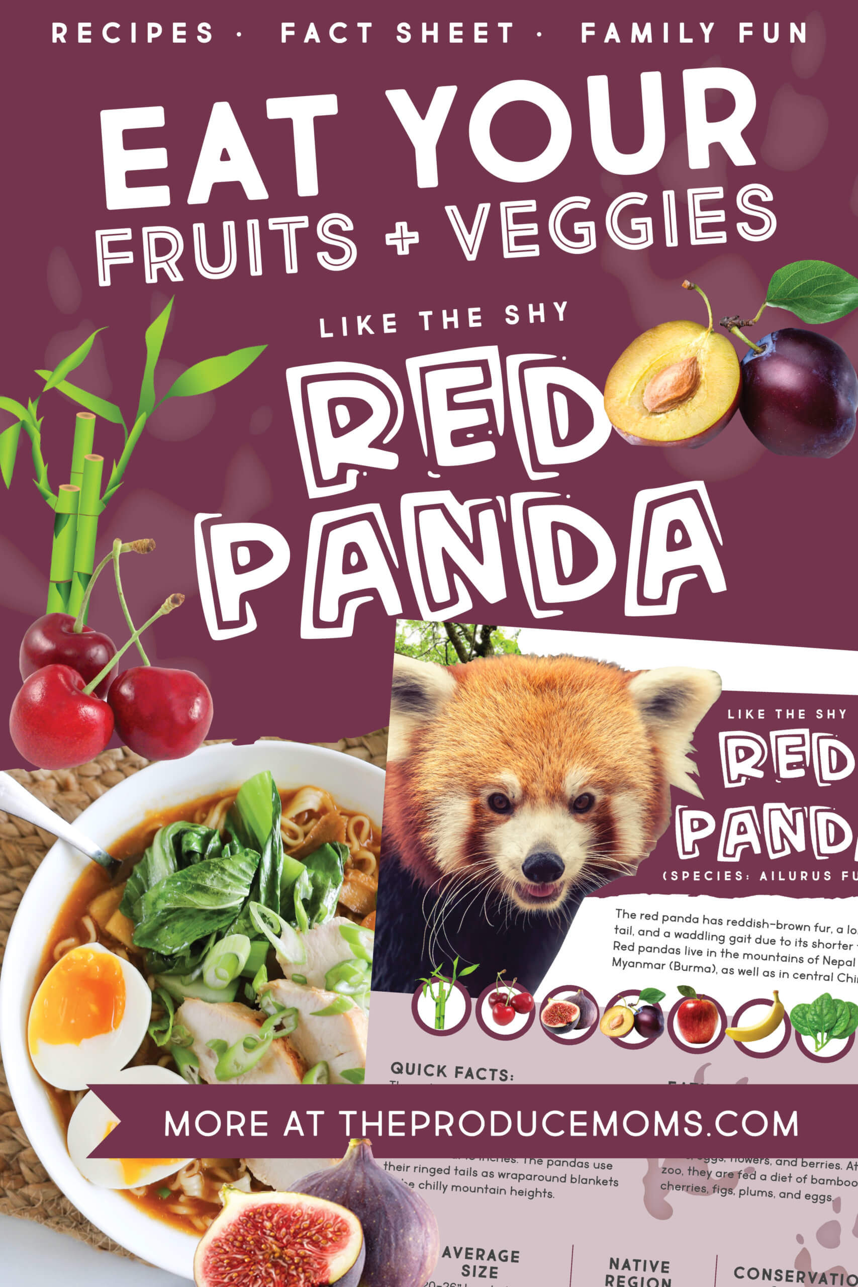 Eat like a red panda Eat like a red panda