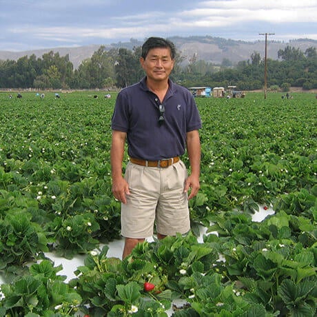 Naturipe Strawberry Farmer Bill Ito Naturipe Strawberry Farmer Bill Ito
