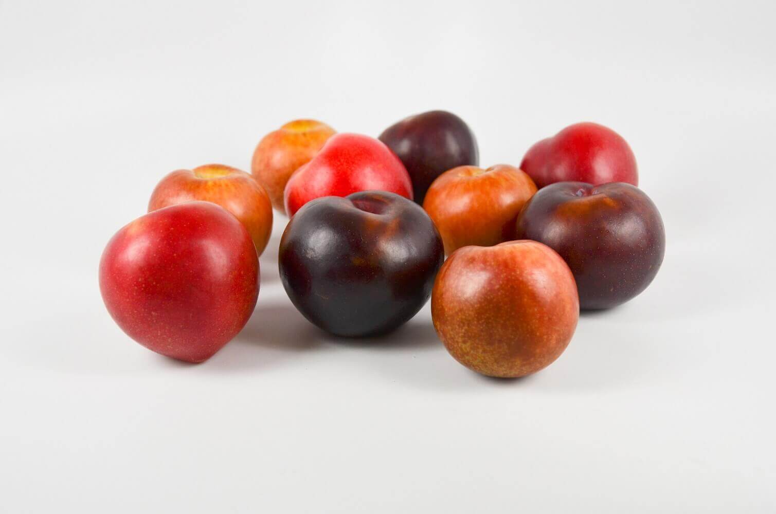 Plum varieties Plums