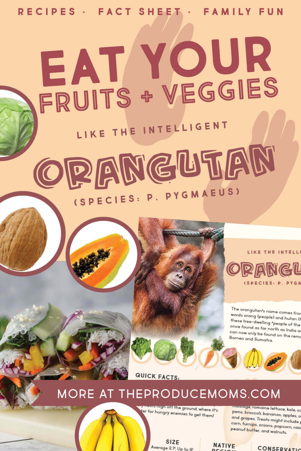 Eat Like An Orangutan: Salad Roll & Fruit Salad Buffet Eat Like An Orangutan: Salad Roll & Fruit Salad Buffet