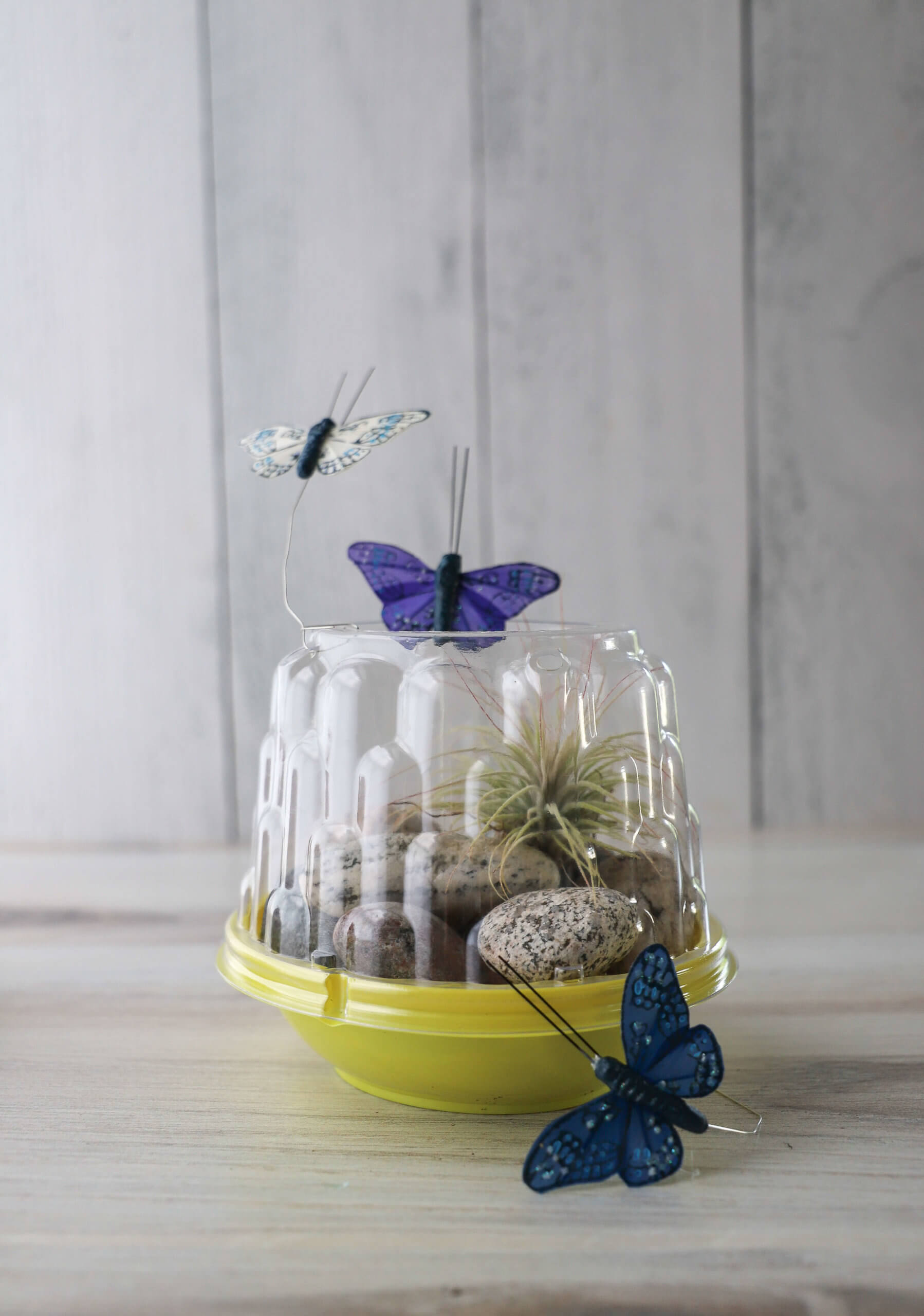Summer Craft Ideas: Mini Terrarium Summer Craft Ideas: Mini Terrarium