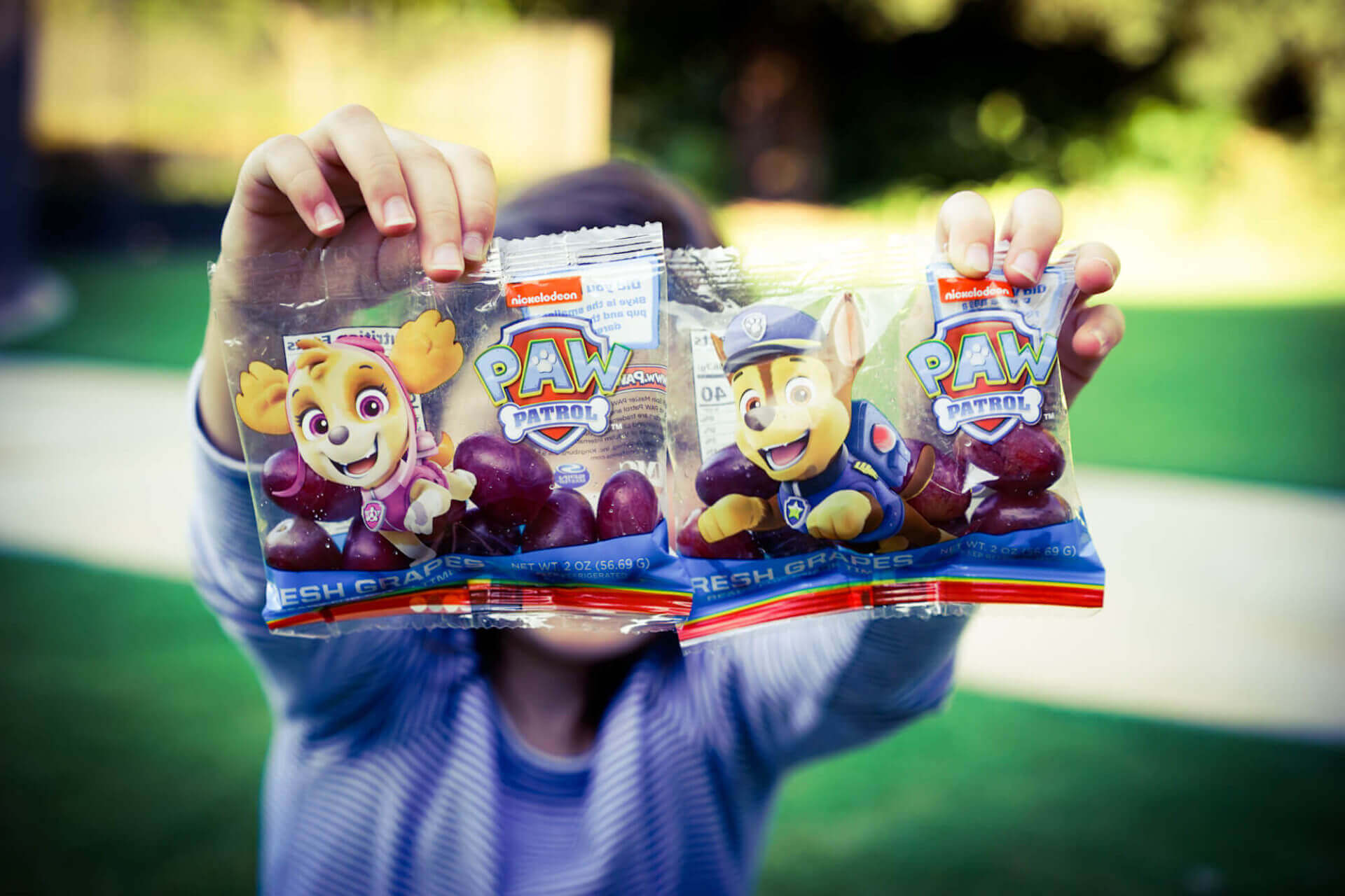 Spongebob Paw Patrol Grapes and Grape Flatbread Pizza Spongebob Paw Patrol Grapes and Grape Flatbread Pizza