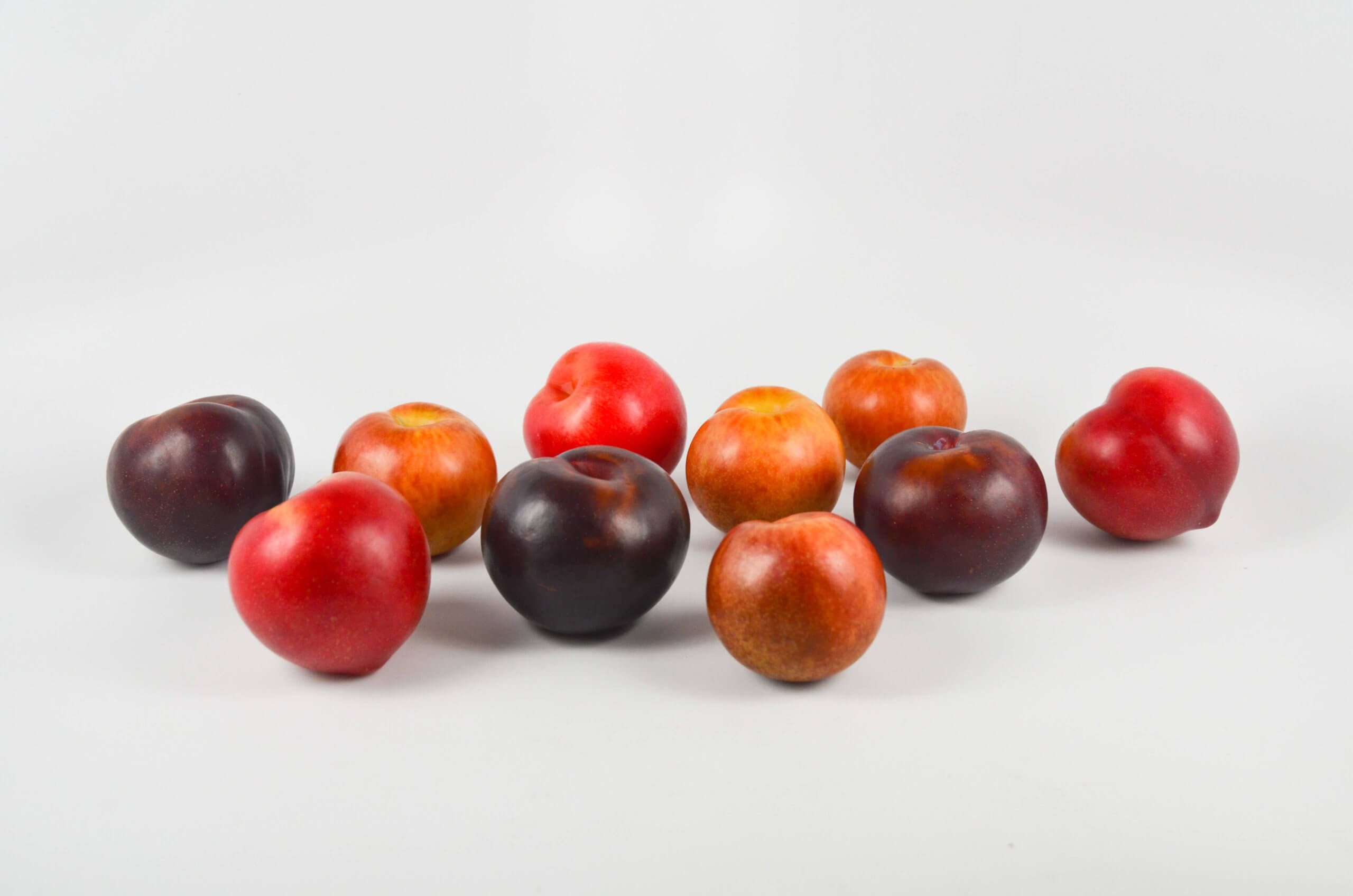 Plum Varieties Plum Varieties