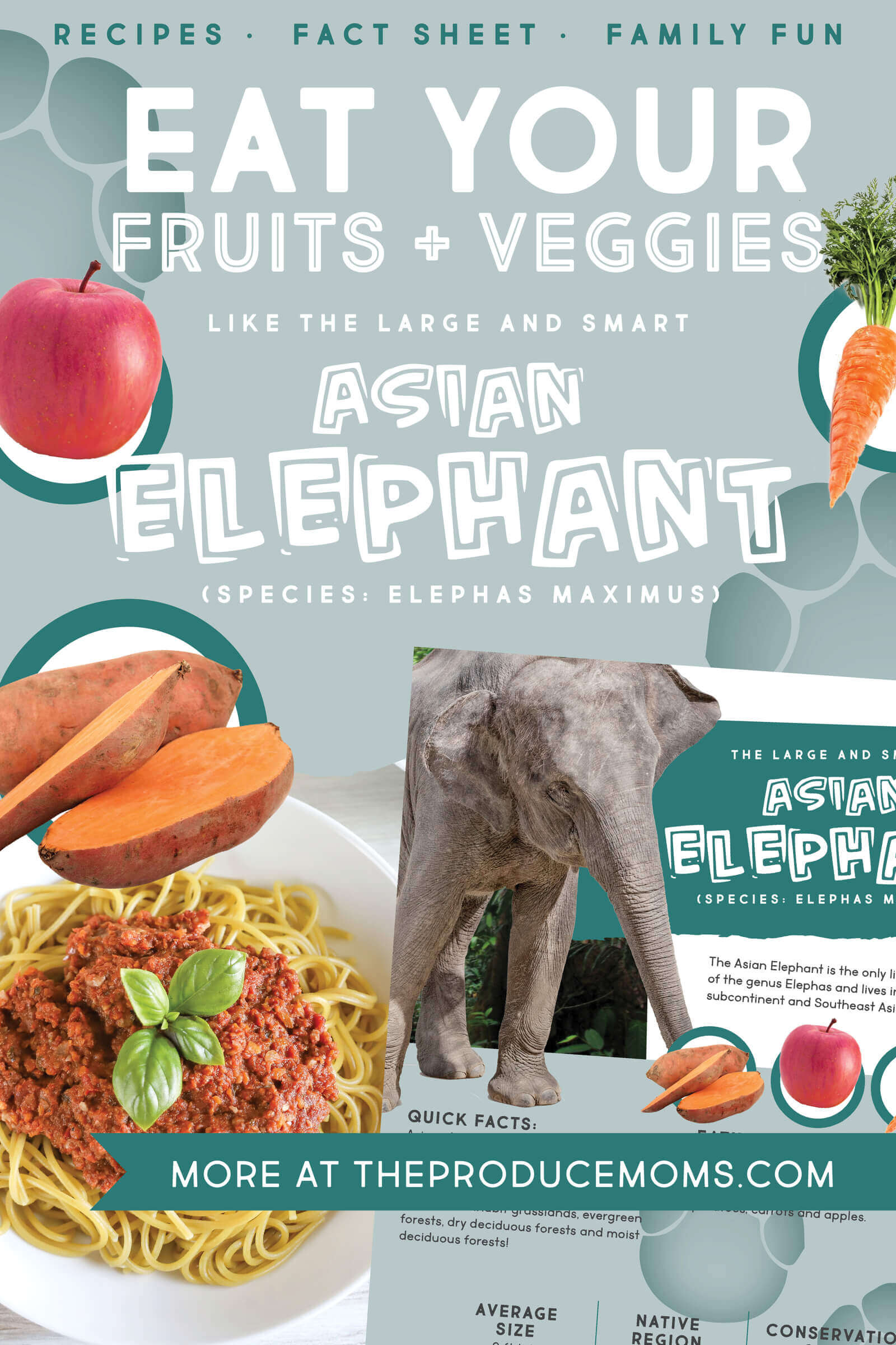 Eat Like An Elephant Pinterest Card Eat Like An Elephant Pinterest Card