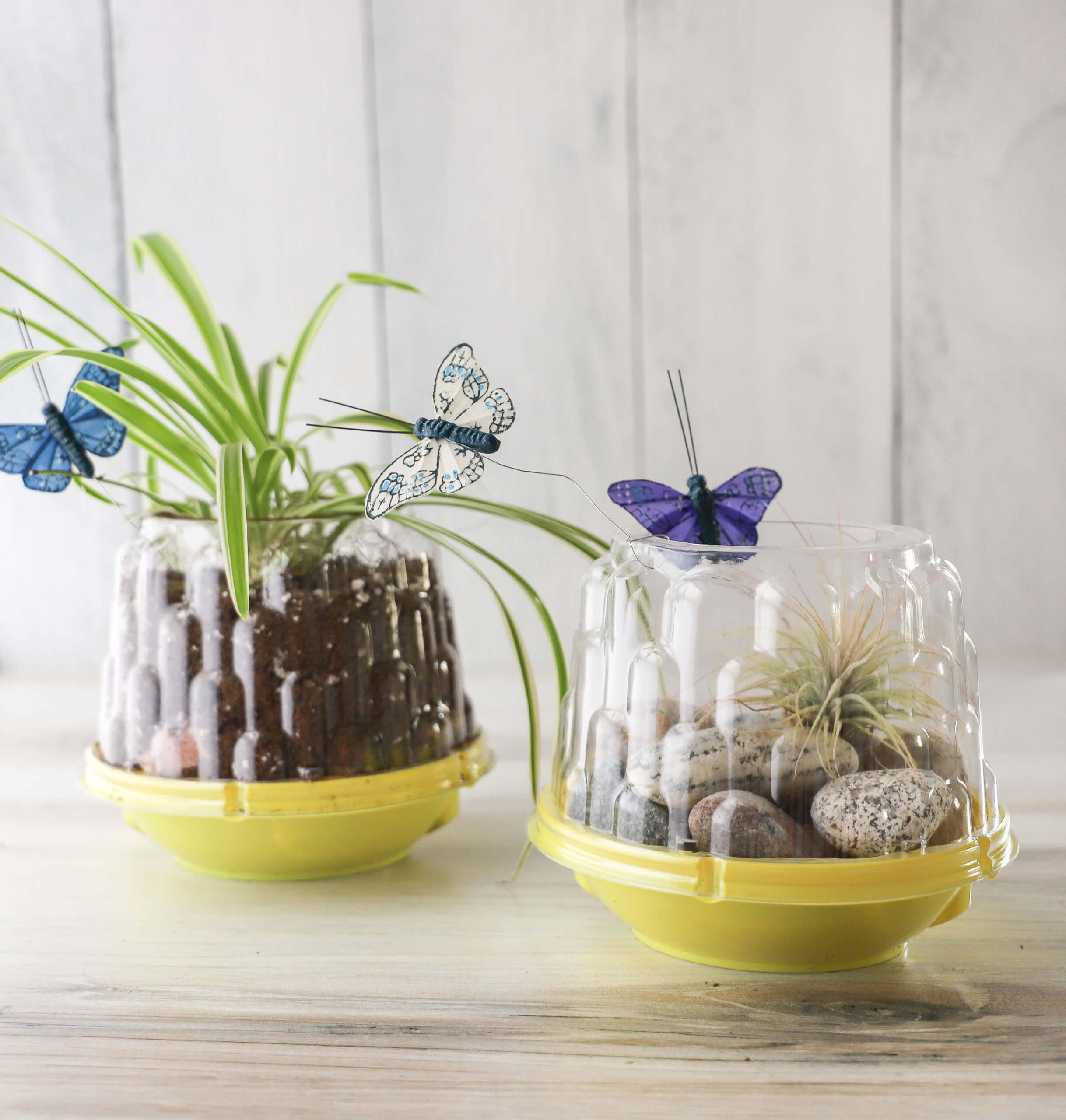 Summer craft ideas using NatureSweet Tomato Containers Summer craft ideas using NatureSweet Tomato Containers