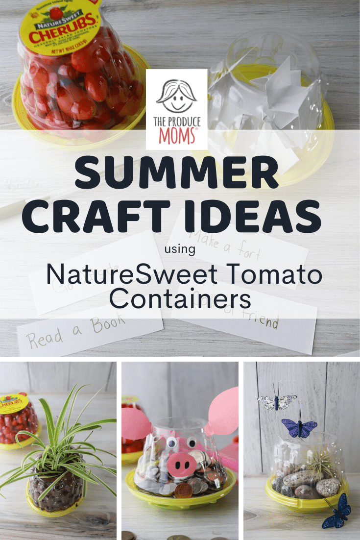 Summer Craft Ideas Using NatureSweet Tomato Containers Summer Craft Ideas Using NatureSweet Tomato Containers