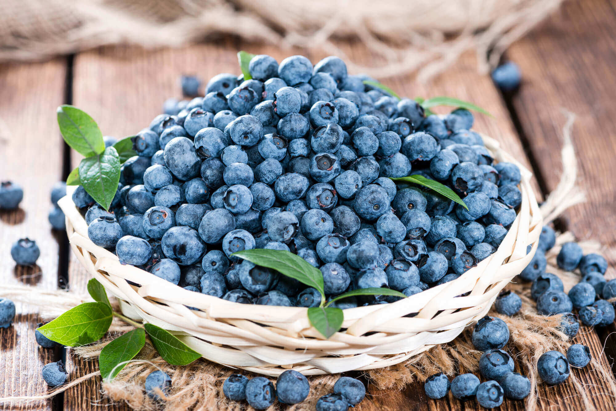 Blueberries as school snacks Blueberries as school snacks