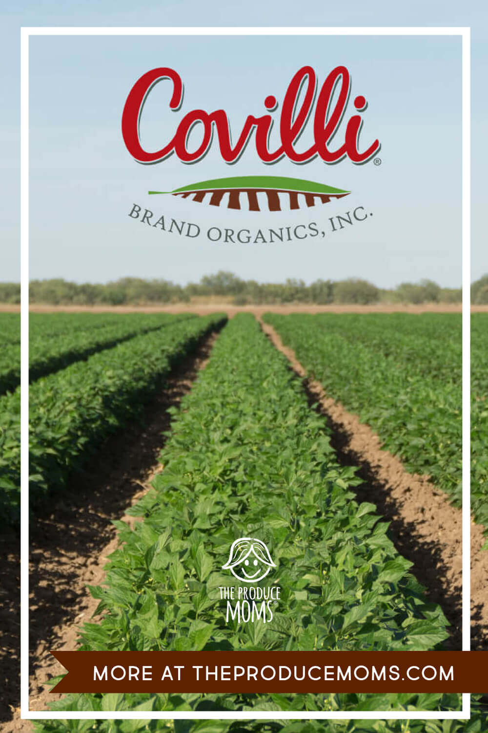 Covilli Brand Organics Covilli Brand Organics