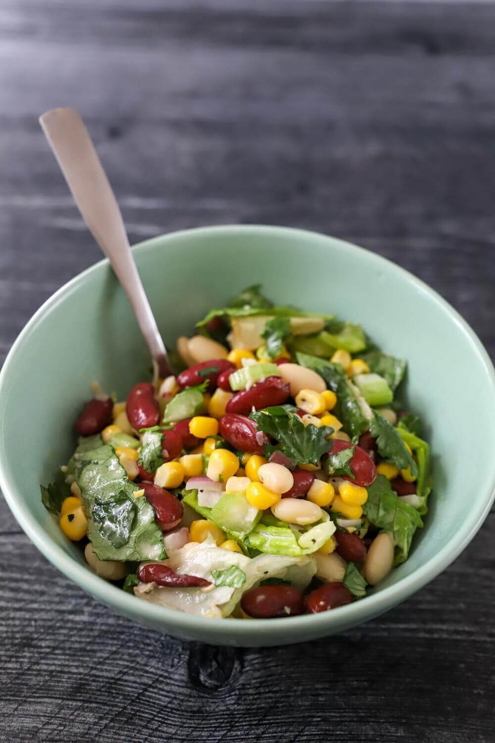 Mixed Bean Chopped Salad - easy to make! Mixed Bean Chopped Salad - easy to make!