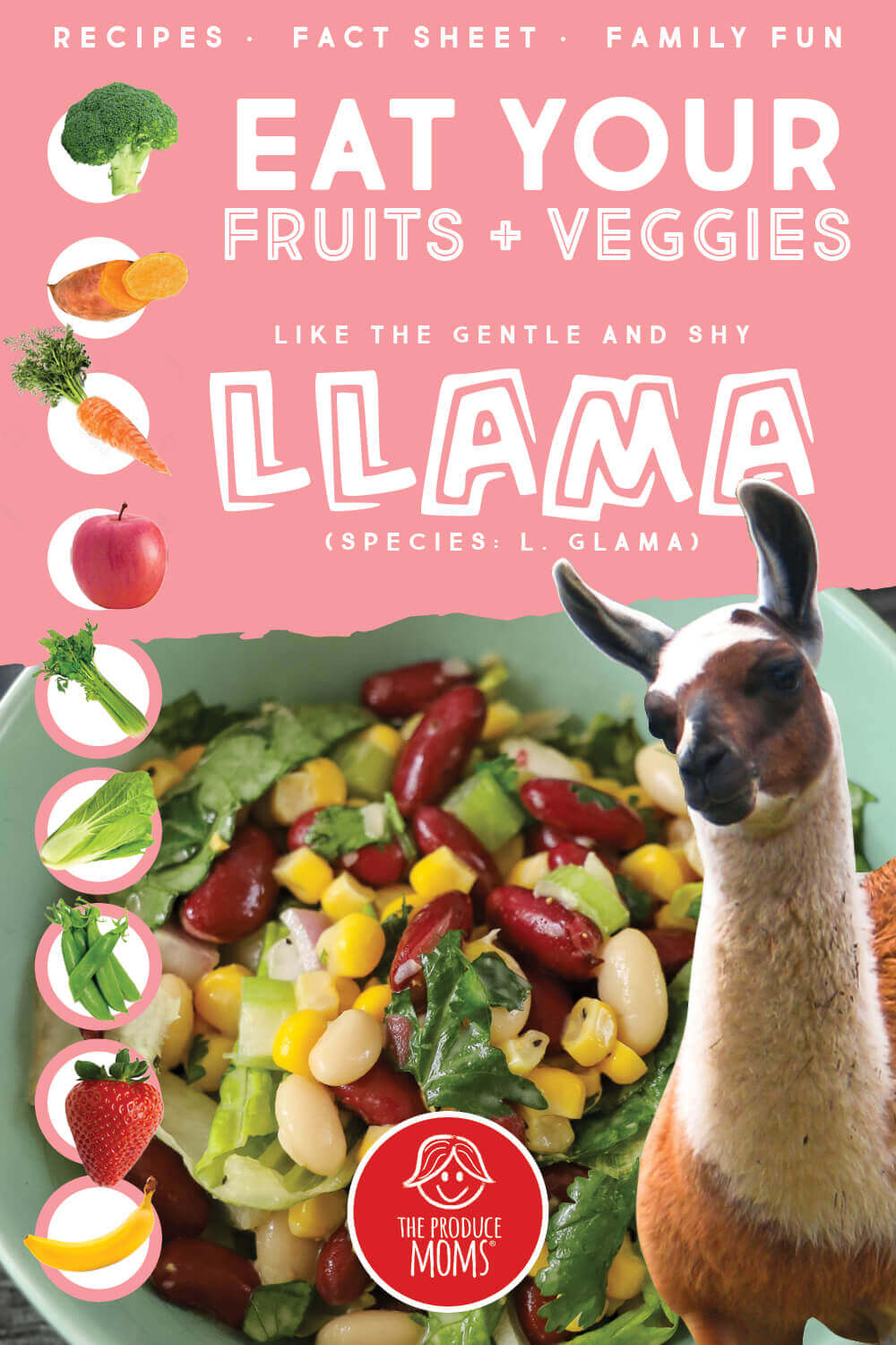 Eat Like a Llama: Mixed Bean Chopped Salad Pinterest Card Eat Like a Llama: Mixed Bean Chopped Salad Pinterest Card