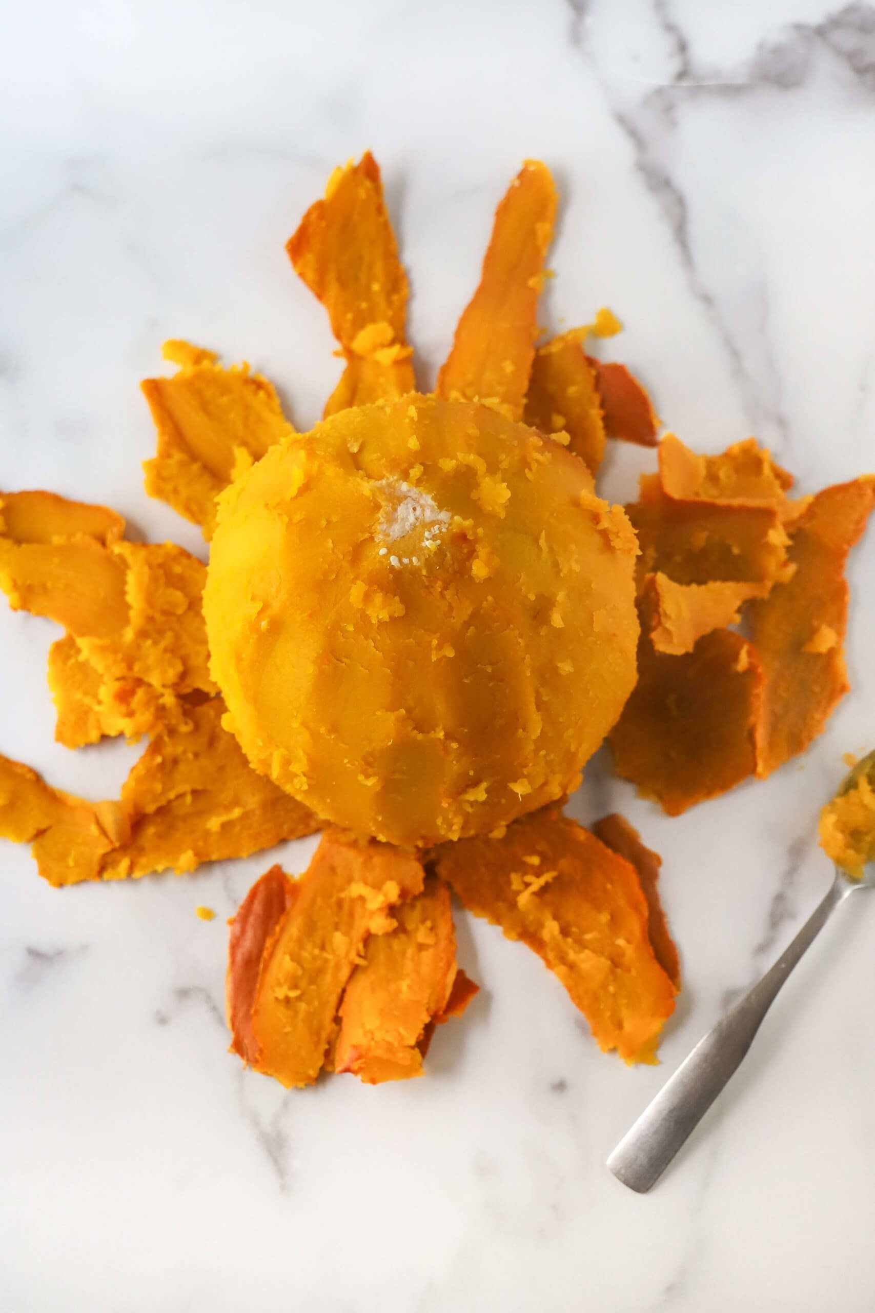 Instant Pot Pumpkin Puree Instant Pot Pumpkin Puree