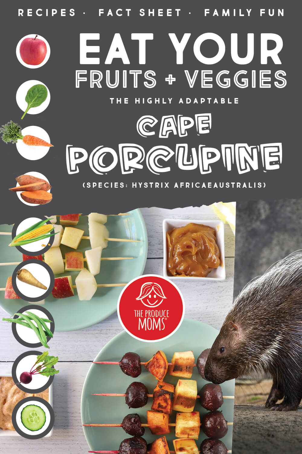 Eat Like a Cape Porcupine Eat Like a Cape Porcupine
