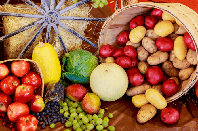 Plant-Based Thanksgiving Plant-Based Thanksgiving