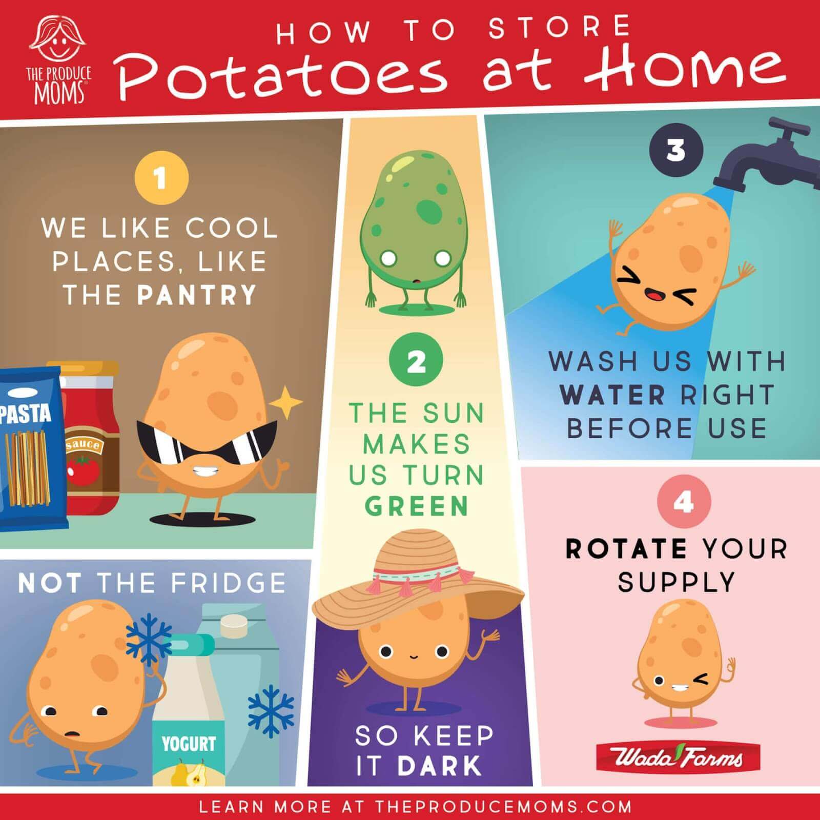 Nutritious Potato Recipes - How To Store Nutritious Potato Recipes - How To Store