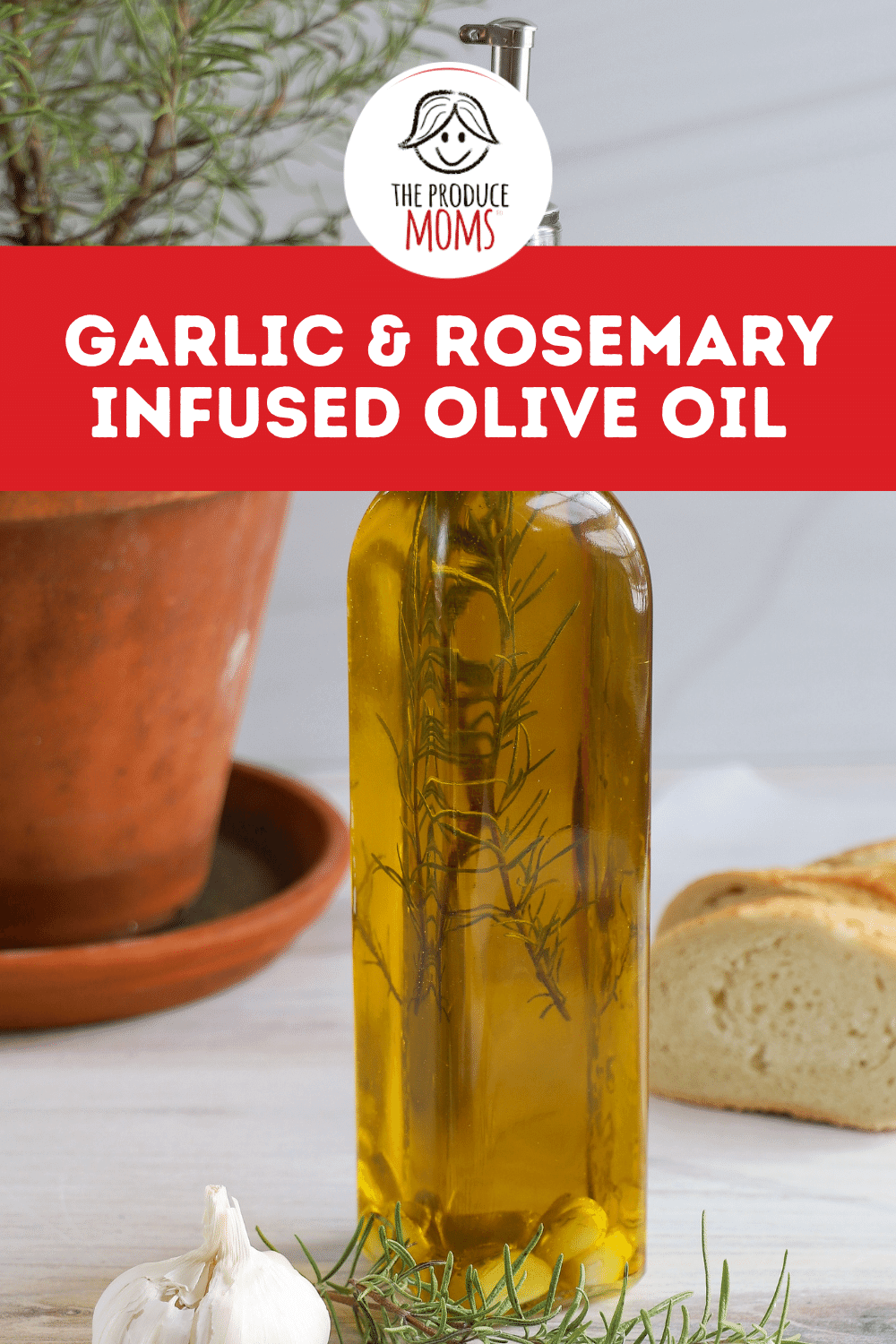Garlic and Rosemary Infused Olive Oil Garlic and Rosemary Infused Olive Oil