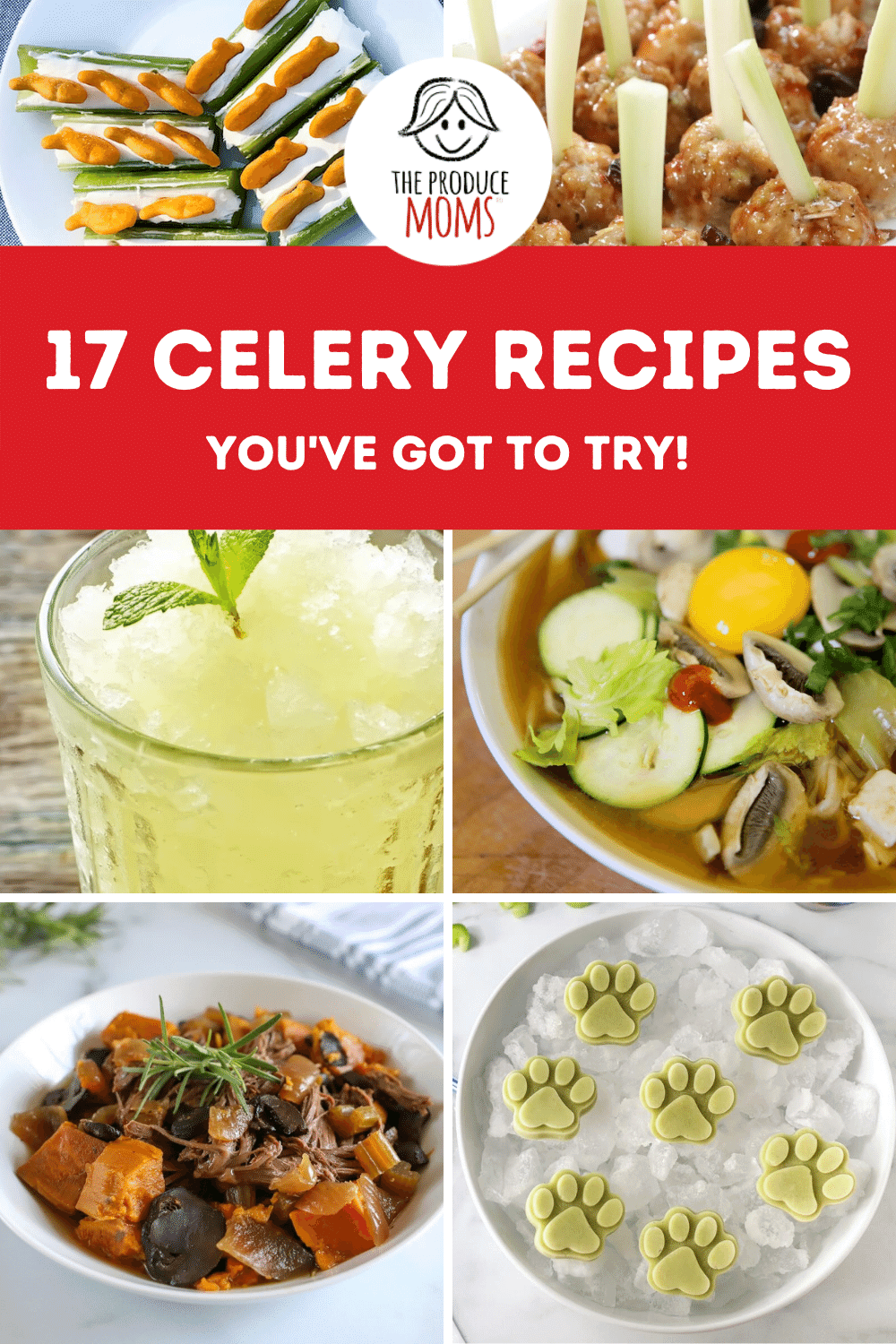 Must-Try Celery Recipes Must Try Celery Recipes