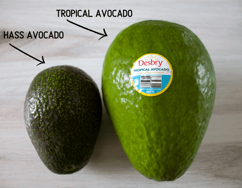 Tropical Avocado vs. Hass Avocado