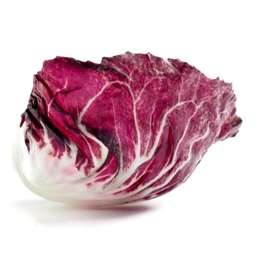 Radicchio - Small