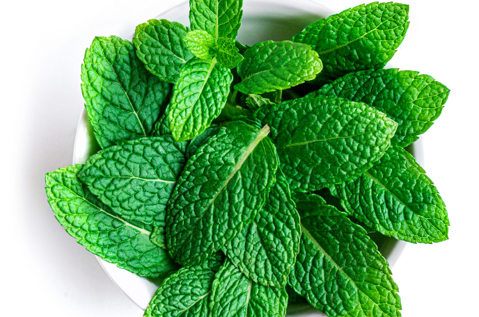 Mint it Up!