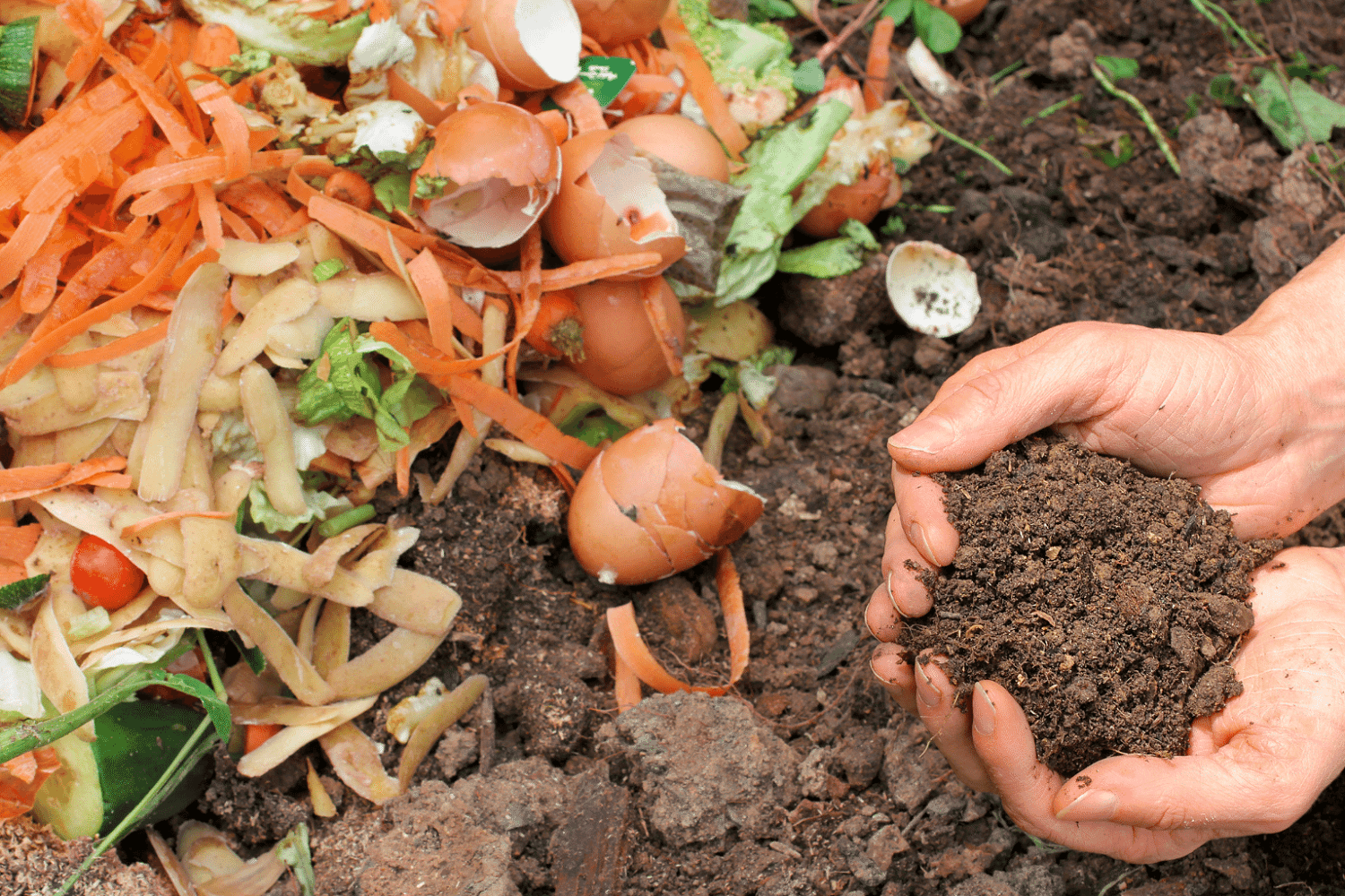 What does compostability mean? What does compostability mean?