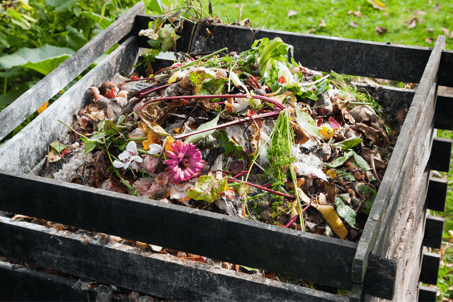 How can I start composting? How can I start composting?