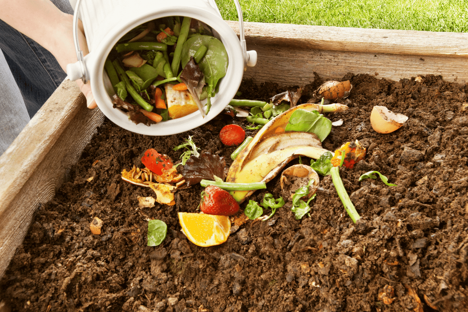 Starting your compost bin Starting your compost bin