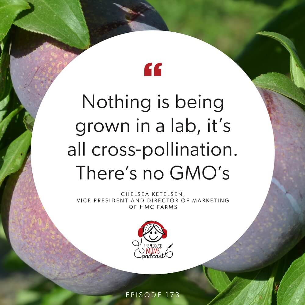 Episode 172 Chelsea Ketelsen Quote Episode 172 Chelsea Ketelsen Quote