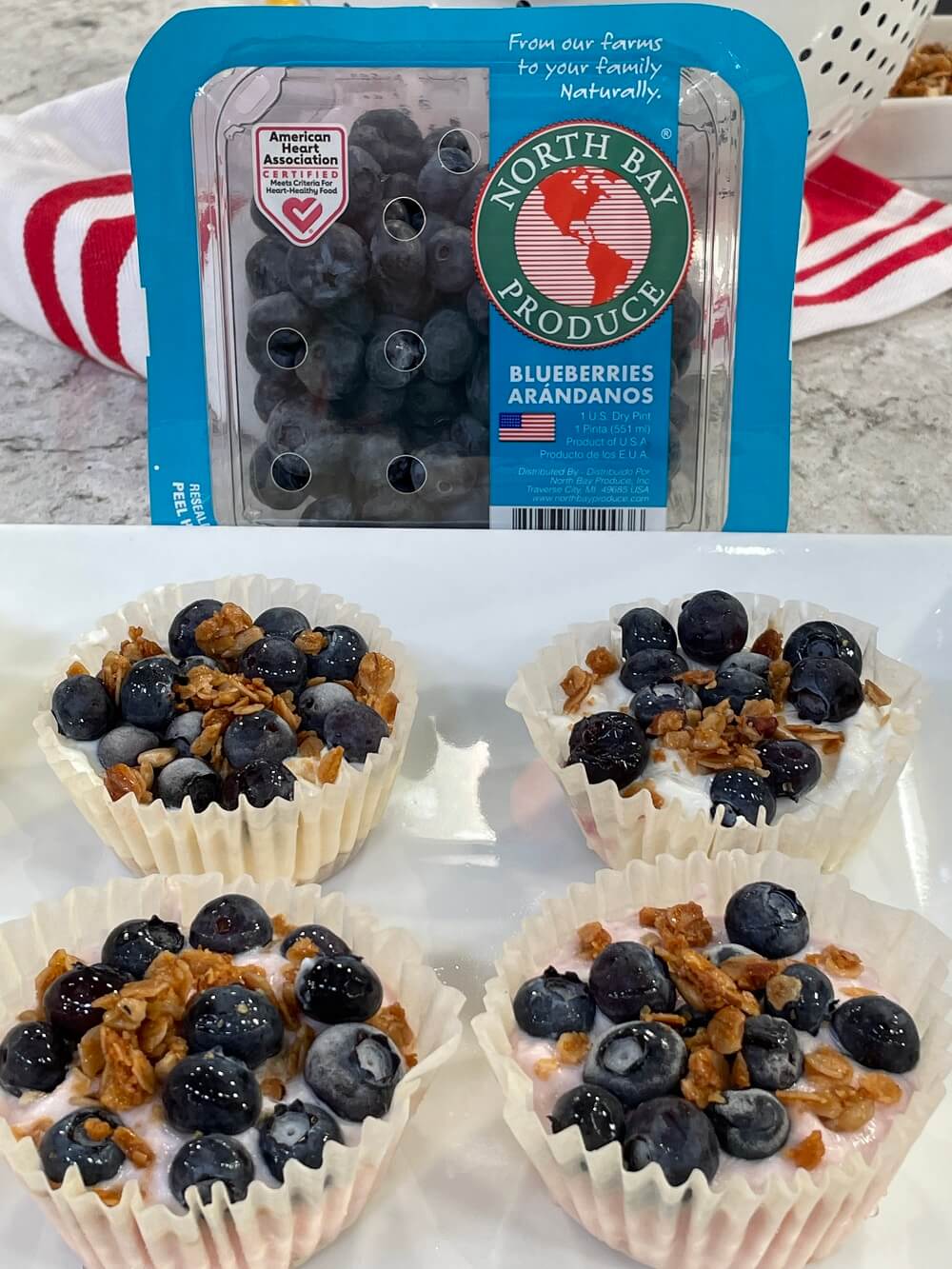 Frozen Blueberry Yogurt Cups Frozen Blueberry Yogurt Cups