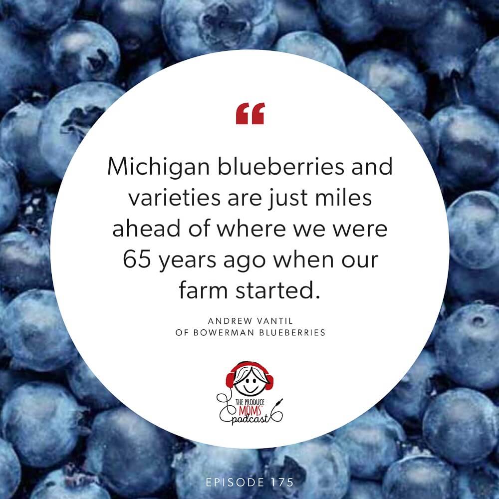 Episode 175 Andrew VanTil Quote Episode 175 Andrew VanTil Quote