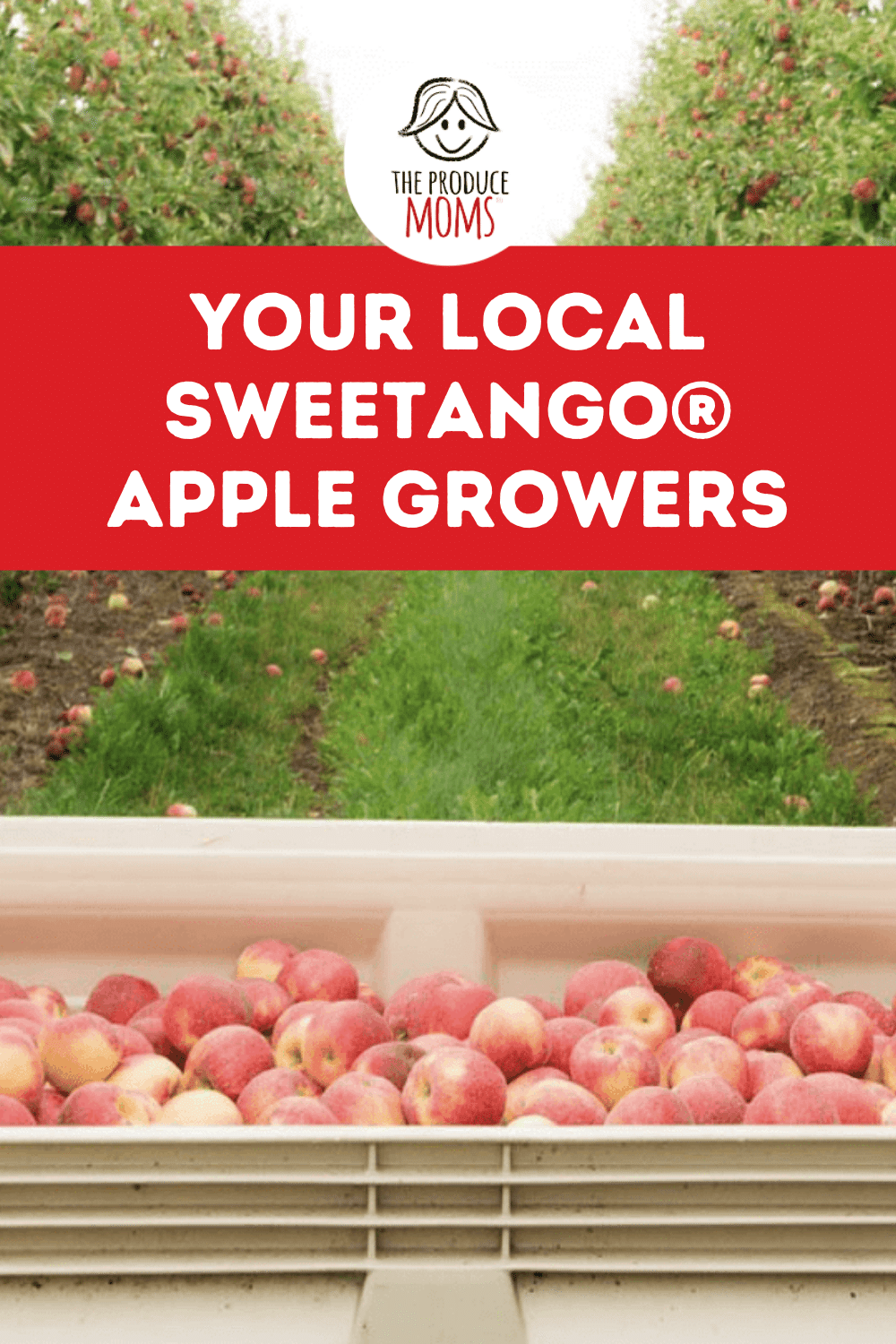 Sweetango Apple Growers Pin Sweetango Apple Growers Pin